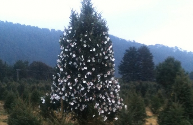 Arbol de los deseos